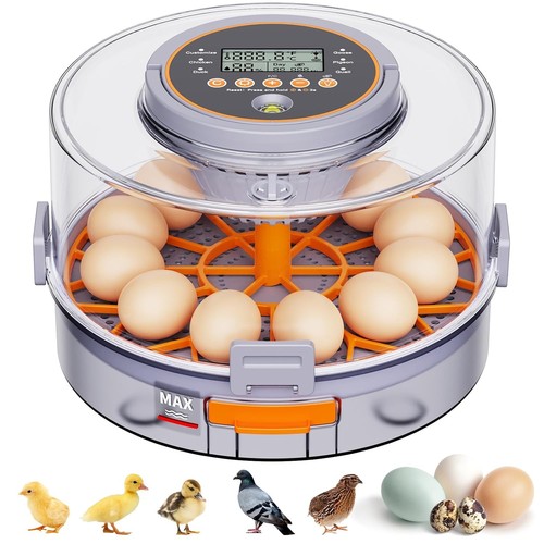 Incubators for hatching - incubators,