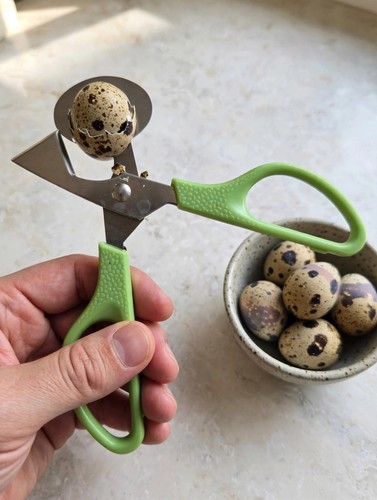 Quail egg scissors opener - quail, 3